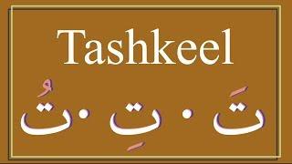 Understanding Tashkeel: A Guide to Arabic Pronunciation