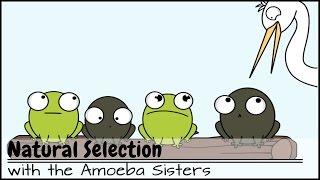 Natural Selection and Antibiotic Resistance
