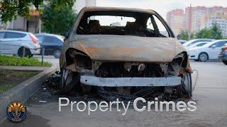 Understanding Property Crimes and Their Implications (Ch.1)