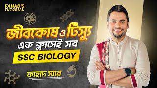 Understanding Biological Tissues