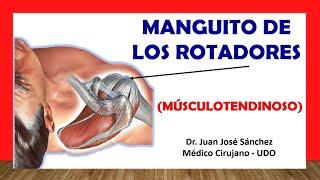 Understanding the Rotator Cuff