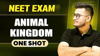 Exploring the Animal Kingdom