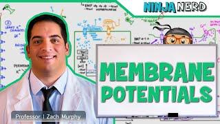 Neuronal Signaling Explained