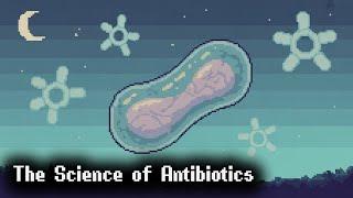 Exploring Microbiology and Antibiotics