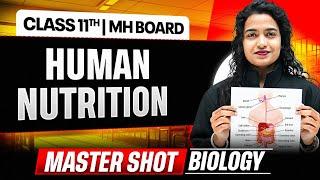 Comprehensive Study Notes on Human Nutrition and Digestion