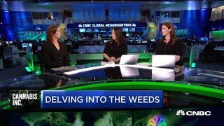 The Complexities of Marijuana Legalization (Ch.2)