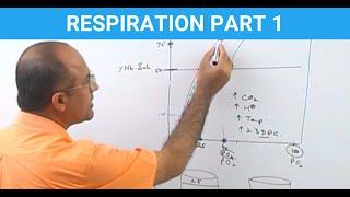 Oxygen Transport and Hemoglobin Function