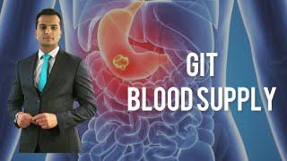 Understanding Blood Supply in the Gastrointestinal System