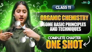 Exploring Organic Chemistry Essentials