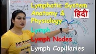 Understanding the Lymphatic System