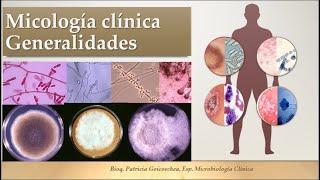 Introducción a la Micología Clínica