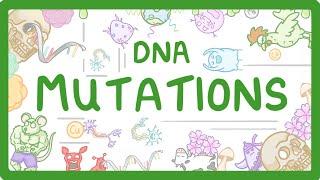 Understanding DNA Mutations