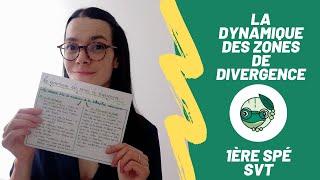 Dynamique des Zones de Divergence et Dorsales Océaniques