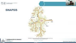 Estudio del Sistema Nervioso y Contracción Muscular