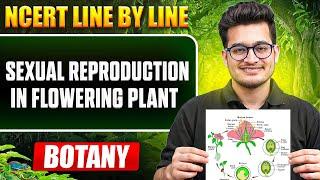 Reproductive Processes in Flowering Plants