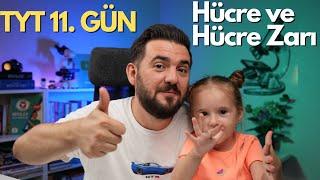 Hücre Yapısı ve Özellikleri