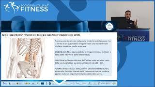Muscles of the Dorsal Region: Anatomy and Function