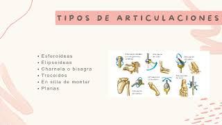 Estudio del Aparato Locomotor