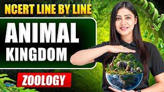 Exploring the Animal Kingdom