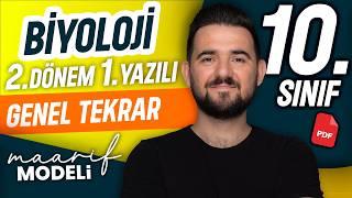 Ekoloji ve Ekosistem Üzerine