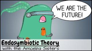 Endosymbiotic Theory Explained