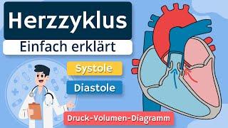 Der Herzzyklus: Systole und Diastole