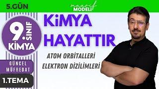 Atom Modelleri ve Orbital Kavramı