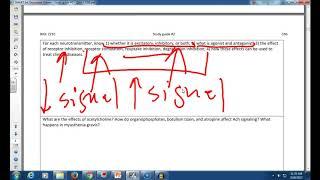Comprehensive Study Notes on the Nervous System