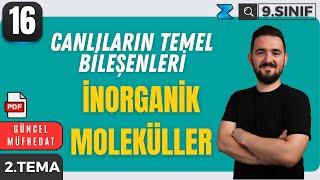 Biyoloji Temelleri ve Suyun Rolü