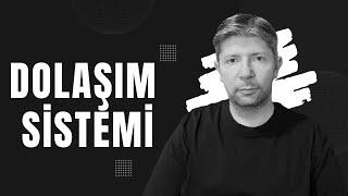Dolaşım Sistemi Konu Anlatımı