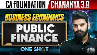 Public Finance Overview