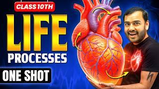 Understanding Life Processes in Biology