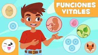 Funciones Vitales de los Seres Vivos