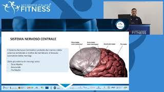 Understanding Static Posture and Mechanics in Human Movement