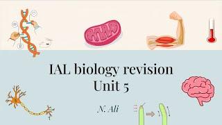 Understanding Cellular Respiration and Muscle Physiology