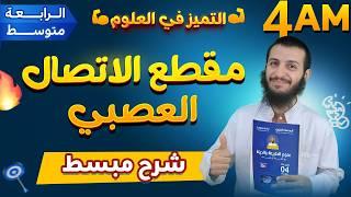 تفسير نظام الإحساس والحركة في الجسم