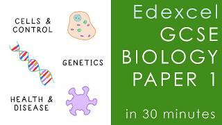 GCSE Biology Paper One Overview