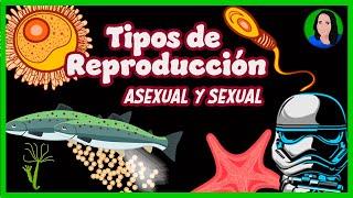 Reproducción en los Seres Vivos