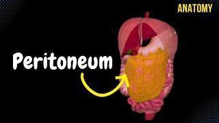 Anatomy of the Peritoneum