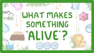 Characteristics of Living Organisms