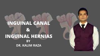 Understanding Inguinal Canal and Hernia