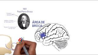 Neuropsicología del Lenguaje