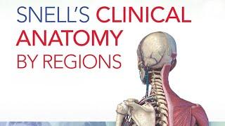 Understanding Upper Limb Anatomy through Clinical Case Study