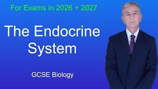 Understanding the Endocrine System