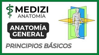 Principios Básicos de Anatomía General