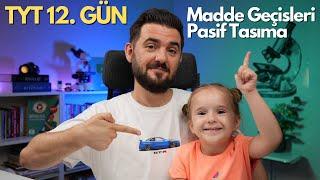 Hücre Zarından Madde Geçişleri