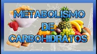 Metabolismo de Carbohidratos