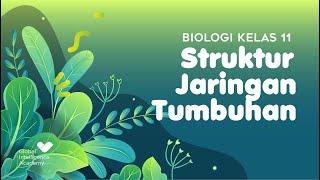 Struktur Jaringan Tumbuhan dan Proses Pengangkutan