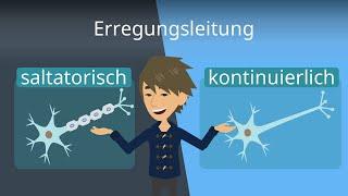 Erregungsleitung in Nervenzellen