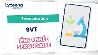 Étude détaillée sur la transpiration des plantes